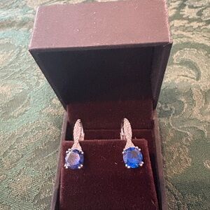 Elegant Blue Drop Earrings